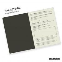 ral-841-gl-6000-6015-innen.jpg thumb image