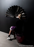 FAN-Reflections-Copenhagen-325693-relf0277df3.jpg thumb image