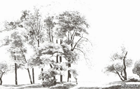 BOMEN-Rimura-586892-rel399858ab.jpg thumb image