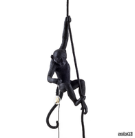 MONKEY-LAMP-BLACK-Pendant-lamp-Seletti-289494-rel3bf27674.jpg thumb image