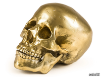 human-skull-seletti-402299-rel114bbb64.jpg thumb image