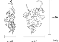 CALATHEA-MAKOYANA-MEDIUM-Serip-582002-dim224bd4e2.jpg thumb image