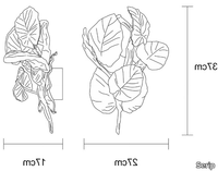 CALATHEA-MAKOYANA-SMALL-Serip-582001-dim88321eb7.jpg thumb image