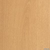 skema-lumbertech-varnish-205-1453-rovere-arches-205_562023145416.jpg thumb image