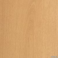 skema-lumbertech-varnish-205-1453-rovere-arches-205_562023145416.jpg thumb image