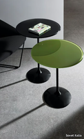 TULIP-ROUND-SOVET-ITALIA-98566-rel5377c8e6.jpg thumb image