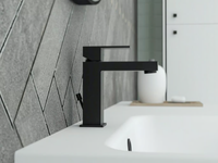 ITALIA-R-BLACK-Washbasin-mixer-with-pop-up-waste-Ercos-Ponsi-603270-relf907c700.jpg thumb image