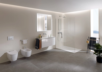 GEBERIT-ONE-Mirror-Geberit-465635-reld014f79b.jpg thumb image