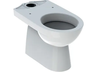 h_SELNOVA-Vitreous-China-toilet-Geberit-505270-rel6e745539.jpg thumb image