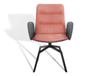 ARVA-LIGHT-Chair-with-armrests-KFF-484622-relafcfb04a.jpg thumb image