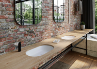 CENTRO-Undermount-washbasin-Kaldewei-Italia-181797-rel9a47dad2.jpg thumb image