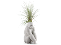 gorilla-garden-lladro-639297-rel68428a28.jpg thumb image