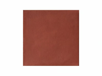 Mutina_TIME-SALTA-RED-SMOOTH_nv91EtayrP.jpeg thumb image