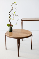 MARINA-Coffee-table-OFFICINACIANI-437355-rel6e4a4739.jpg thumb image