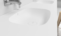 double-washbasin-riluxa-360189-rel462c3a42.jpg thumb image