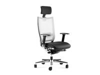 SHINE-Executive-chair-Arte-D-322220-rel941d700d.jpg thumb image