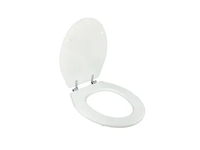 h_BASIC-Plastic-toilet-seat-Saniline-538796-rel2cf8546.jpg thumb image