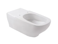 h_UNIKA-Wall-hung-toilet-for-disabled-Saniline-538802-rel1b4c457f.jpg thumb image