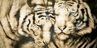 TIGER-Creativespace-426202-rel3416a619.jpg thumb image