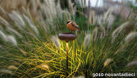 oolite-cup-belfiore-629712-rel30ca69ff.jpg thumb image
