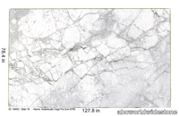 53046_Arabescato_Vagli_polished_2cm_6705___Slab_18.png thumb image