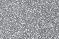 93-40-ETNA-600x400.jpg thumb image