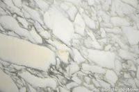 Arabescato-Vagli.jpg thumb image