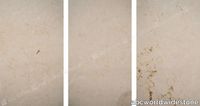 Ataija-Cream-close-up-x-3-7997.jpg thumb image