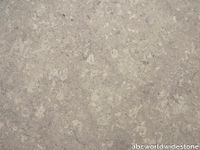 grigio-alpi-close-up-x-1-6853.jpg thumb image
