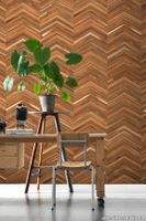 TimberStrips_TIM-06_2-medium-two-thirds.jpg thumb image
