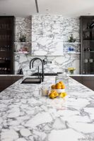 Arabescato_Corchia_Kitchen_03_Goldman_Residence_Boca_Raton-1334x2000-1c45367.jpg thumb image