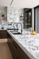 Arabescato_Corchia_Kitchen_Goldman_Residence_Boca_Raton-1334x2000-5c31f53.jpg thumb image