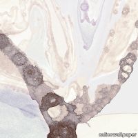 24x24_Plume.jpg thumb image