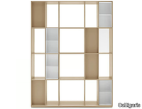 DIVISION-Double-sided-bookcase-Calligaris-139725-rel8ff1f462.jpg thumb image