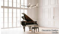 steinway-haara-cameron-design-house-410841-rel995c7307.jpg thumb image