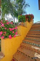 20004-santa-barbara-malibu-ceramic-tile-6_medium.jpg thumb image