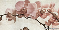 BUD-Creativespace-426101-rela613a3f7.jpg thumb image