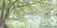 LAGOON-Creativespace-426156-rel599053ad.jpg thumb image