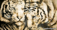 TIGER-Creativespace-426202-rel3416a619.jpg thumb image