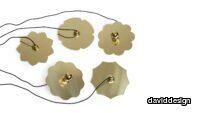marigold-1-scaled-200x113.jpg thumb image
