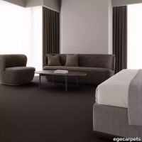 12-075217048.webp thumb image