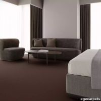 12-076242048.webp thumb image