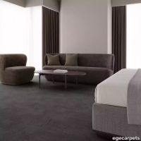 12-079702748.webp thumb image