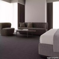 12-084174048.webp thumb image