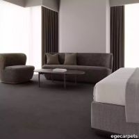 12-088601848.webp thumb image