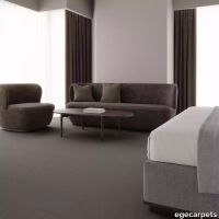 12-2471735.webp thumb image