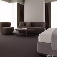 12-4025179.webp thumb image