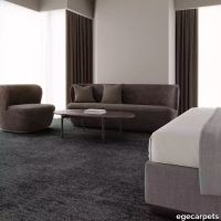 12-713003148.webp thumb image