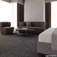 12-713101148.webp thumb image