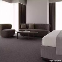 12-RF5500557.webp thumb image